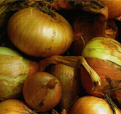 Click for vegetable info